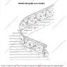 Média réf. 135 (2/4): Rampe d'escalier, style Classique et baroque, modèle ranelagh