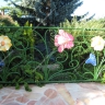 Média réf. 1191 (1/2): Rampe d'escalier en fer forgé, style Floral végétal, modèle Floral