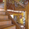 Média réf. 447 (6/6): Rampe d'escalier en fer forgé, style Floral végétal, modèle volutes et feuillages